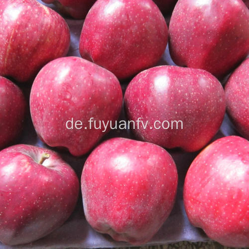 Roter süßer köstlicher Huaniu Apfel